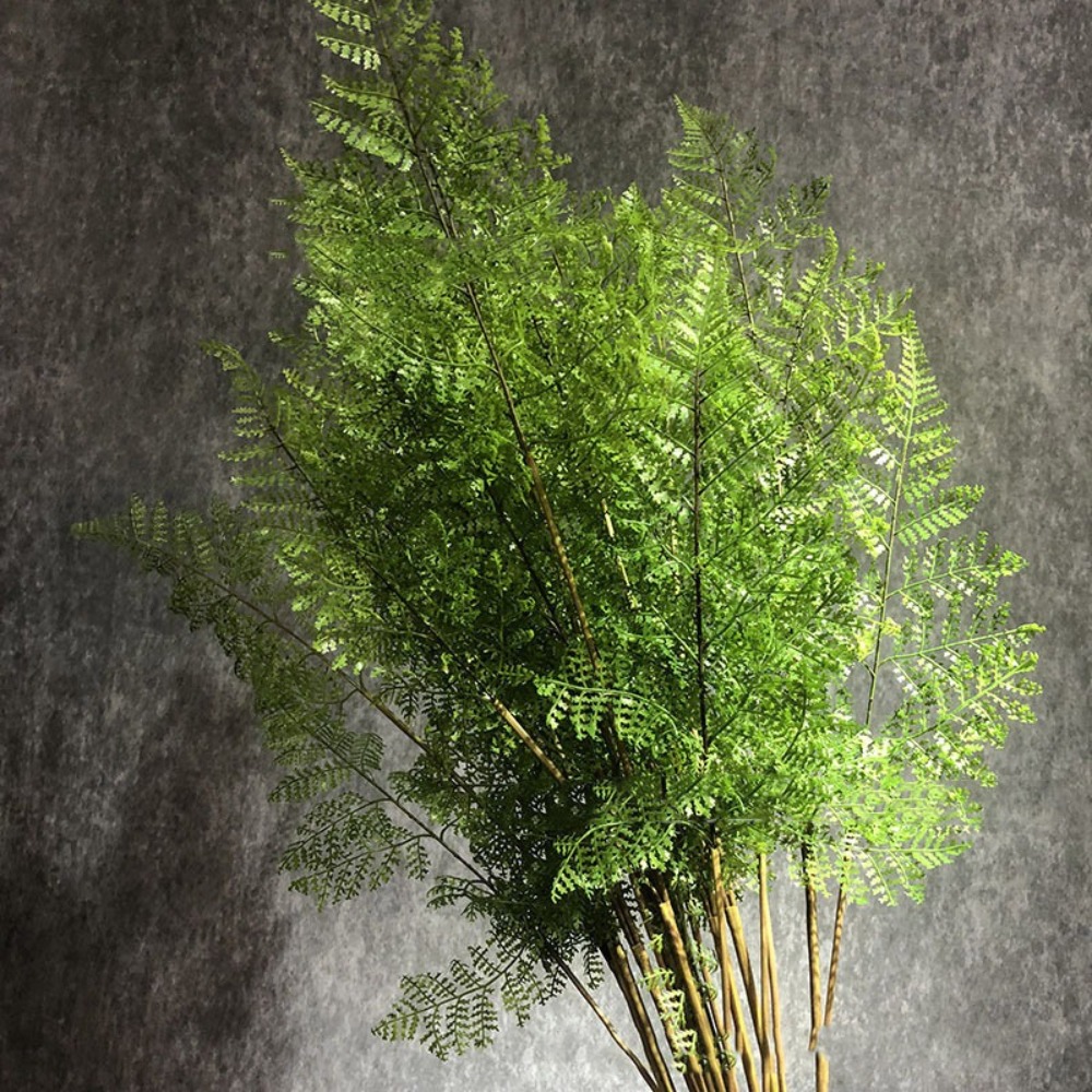 Dracaena Marginata - 실제와 같은 인조 고사리 나뭇가지, 손으로
