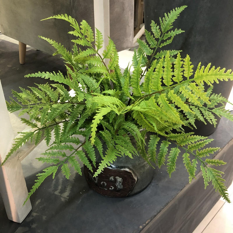 Dracaena Marginata - 1pcs 인공 식물 침실 파티 홈