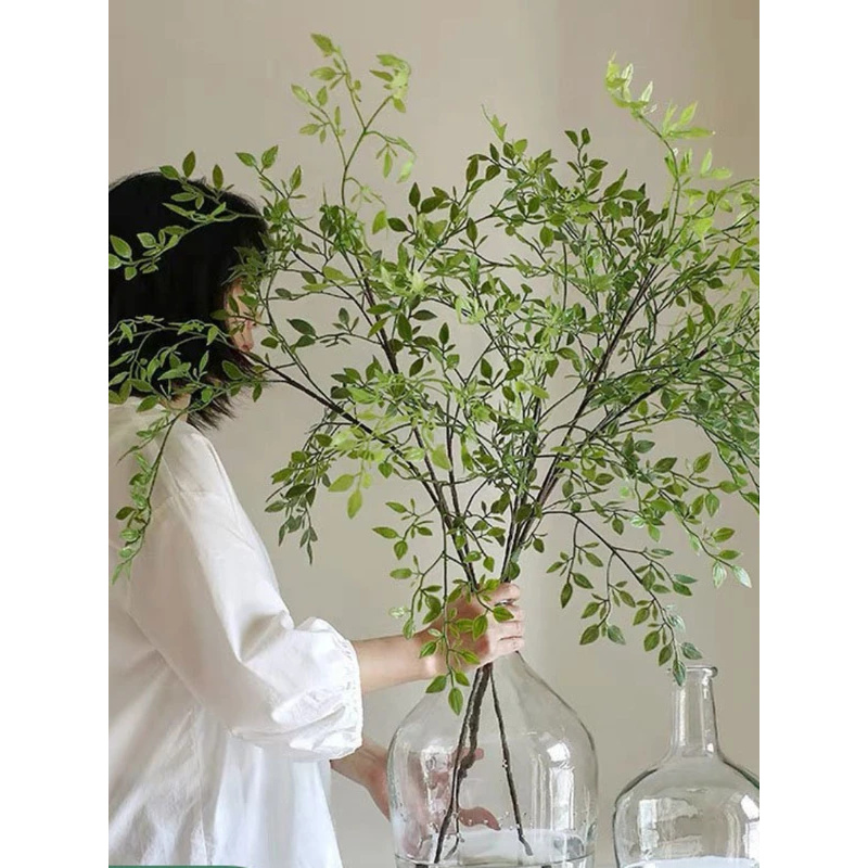 Dracaena Marginata - 인공 싱글 브랜치3인공 녹색 식물, 시뮬레이션된