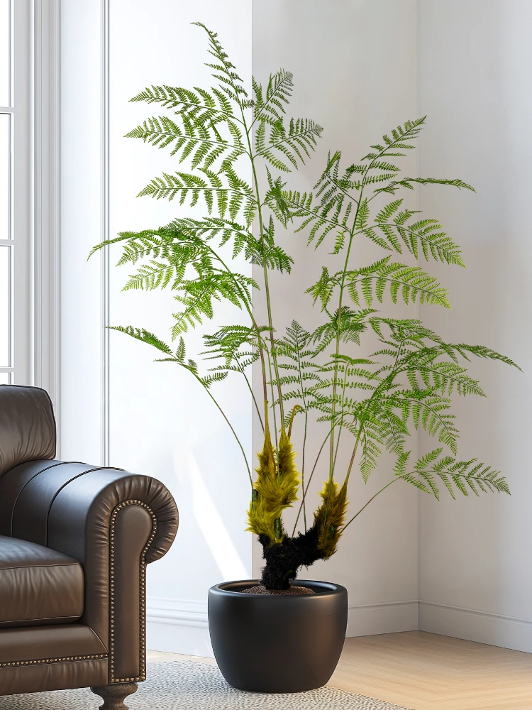 Dracaena Marginata - 대형 시뮬레이션 황금 원숭이 고사리 녹색