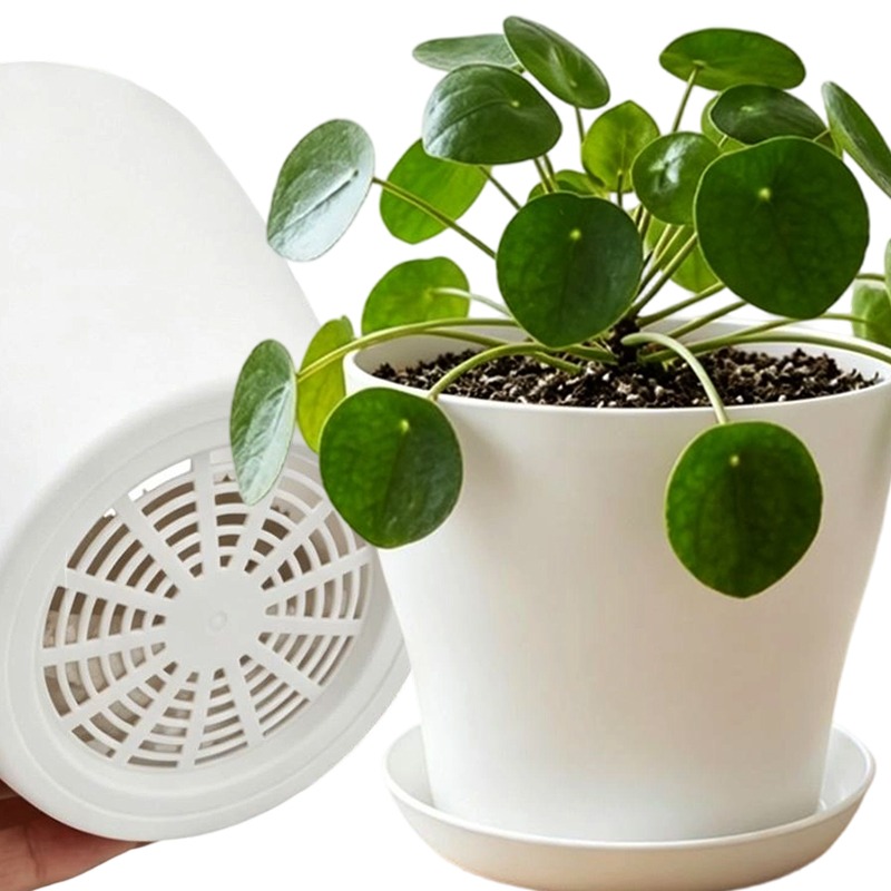 Aloe Vera Pot - 배수구와 어울리는 받침대가 있는 화분 세트,