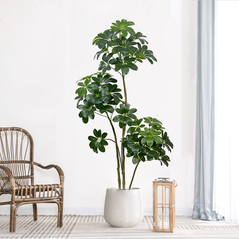 대형 인공 피쿠스 식물 플라스틱 가짜 나무, 홈 가든  - Dracaena Marginata 리뷰 및 가격