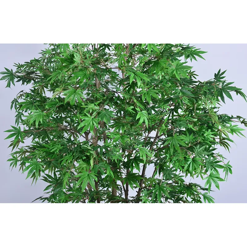 트렌디한 도매용 녹색 단풍나무 인조 다관목 250cm  - Dracaena Marginata 리뷰 및 가격