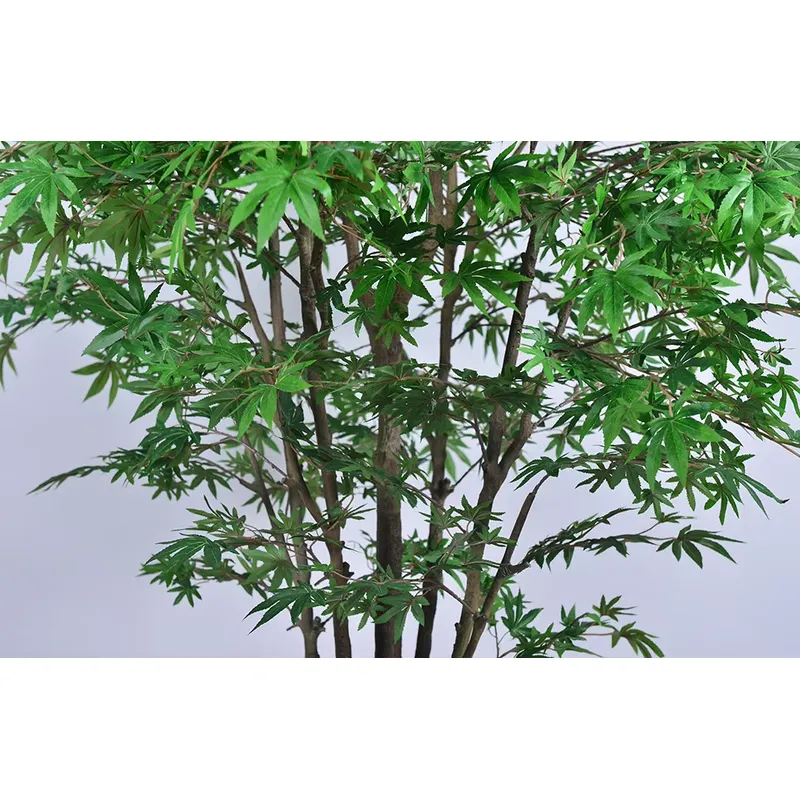 트렌디한 도매용 녹색 단풍나무 인조 다관목 250cm  - Dracaena Marginata 리뷰 및 가격