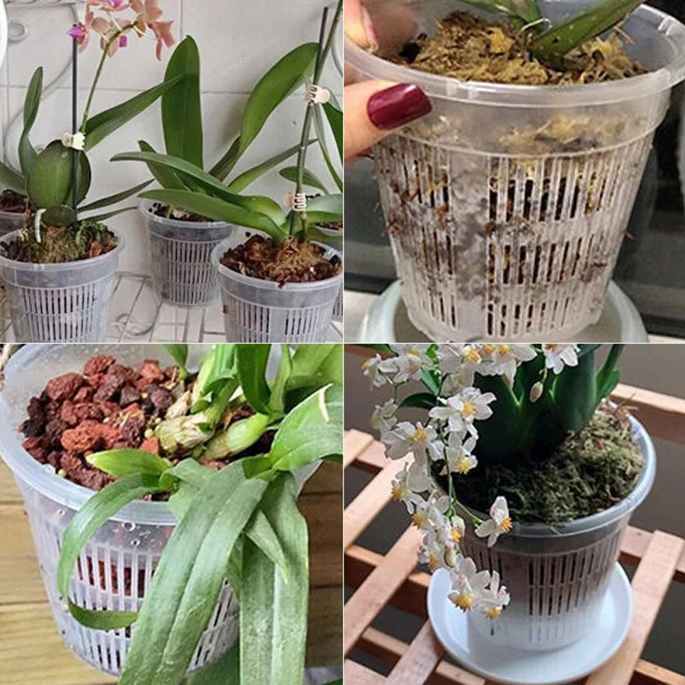 꽃용 메쉬 화분 뿌리 제어 투명 화분 통기성 성장 용기 - Aloe Vera Pot 리뷰 및 가격