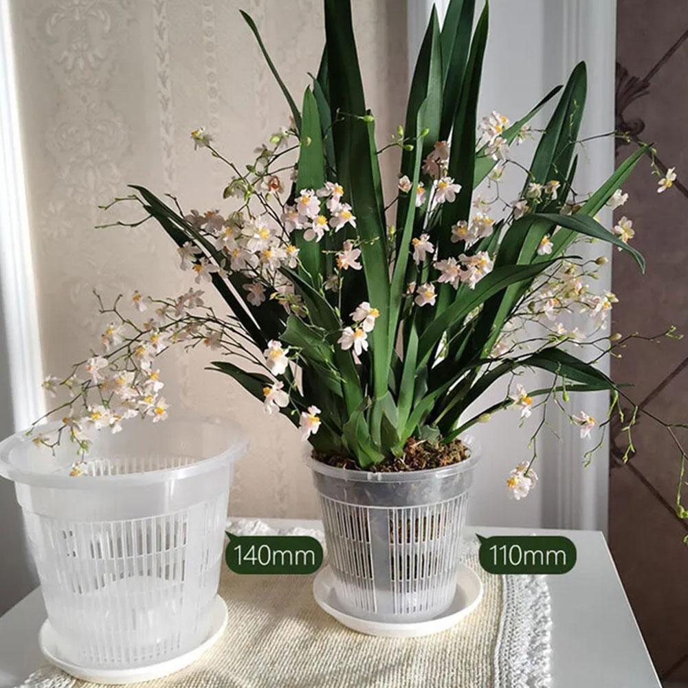 꽃용 메쉬 화분 뿌리 제어 투명 화분 통기성 성장 용기 - Aloe Vera Pot 리뷰 및 가격