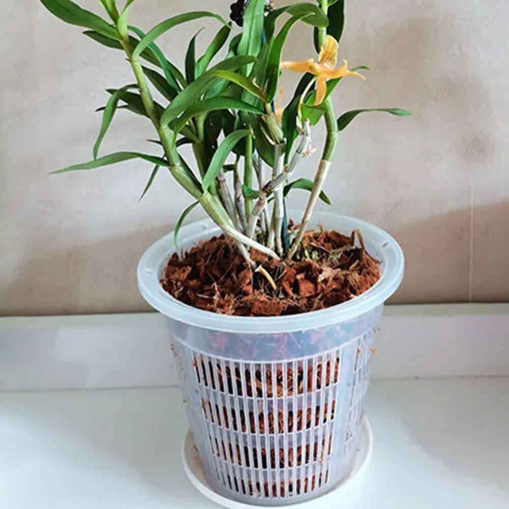 꽃용 메쉬 화분 뿌리 제어 투명 화분 통기성 성장 용기 - Aloe Vera Pot 리뷰 및 가격