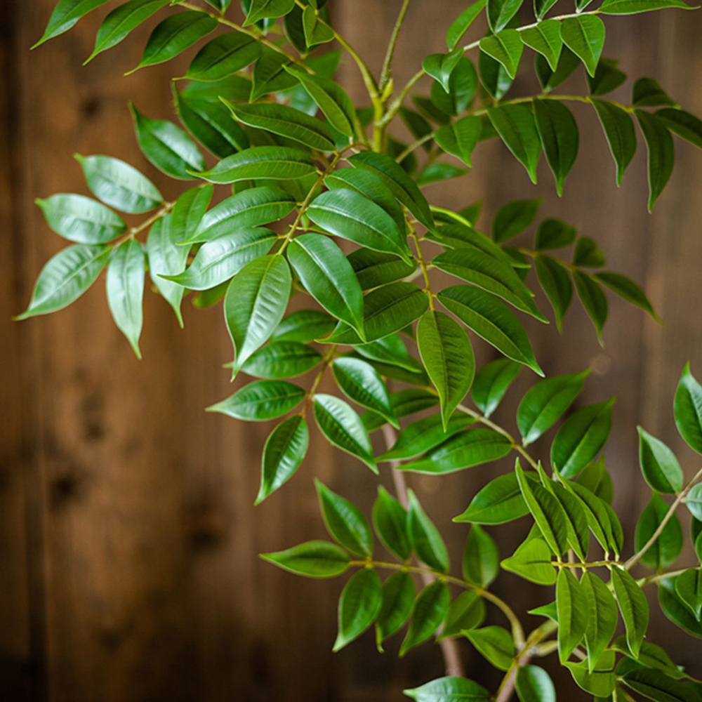 76-140cm 대형 인공 Ficus 나뭇 가지 가짜  - Ficus Lyrata Tree 리뷰 및 가격