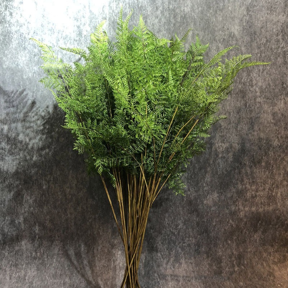 실제와 같은 인조 고사리 나뭇가지, 손으로 만든 인조  - Dracaena Marginata 리뷰 및 가격