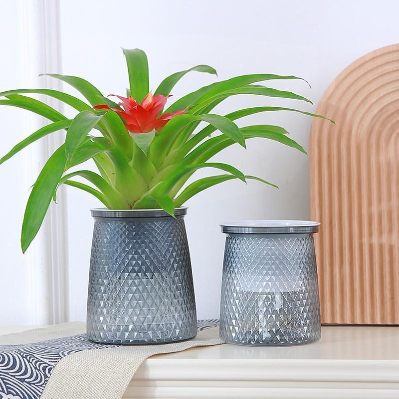 2024 투명 자체 급수 꽃 냄비 플라스틱 화분 홈 장 - Aloe Vera Pot 리뷰 및 가격