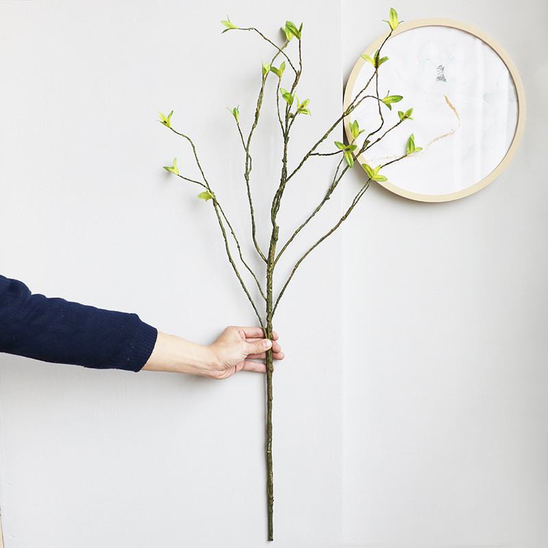 인공 등나무 덩굴 덩굴 시뮬레이션 녹색 식물 긴 가지, - Dracaena Marginata 리뷰 및 가격
