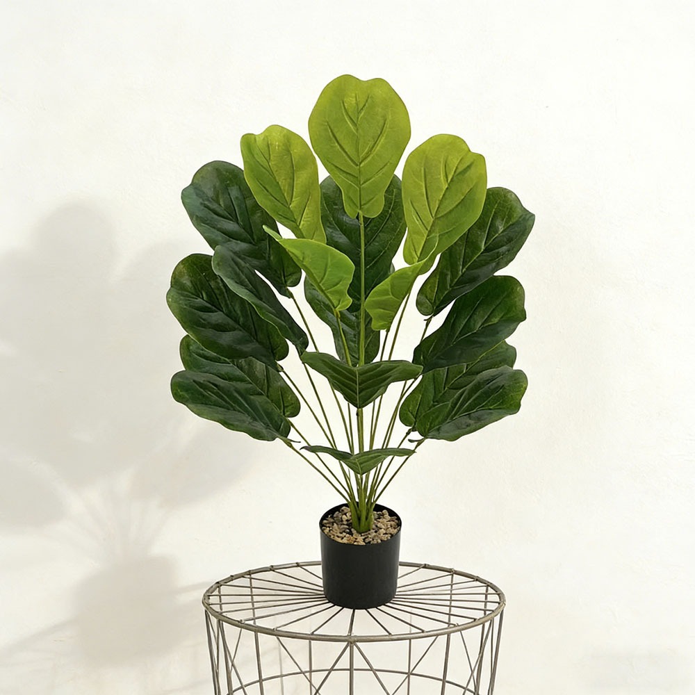 75cm 인조 라이라타 무화과나무 1개 (18잎) 사무 - Ficus Lyrata Tree 리뷰 및 가격