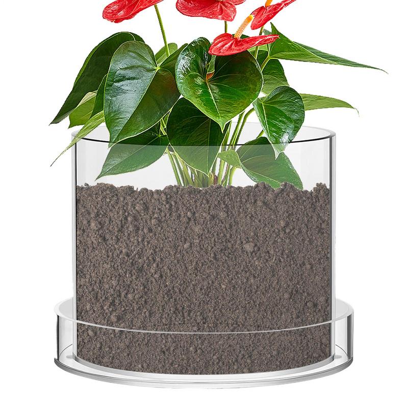 배수구가 있는 투명한 화분 식물용 투명 화분 용기 재배 - Aloe Vera Pot 리뷰 및 가격