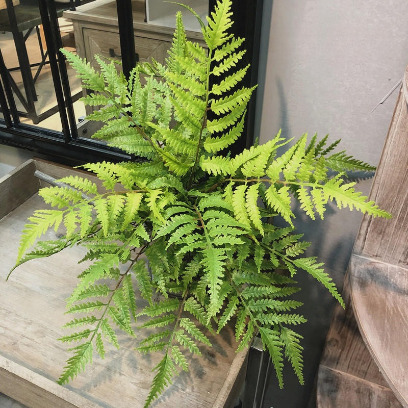 1pcs 인공 식물 침실 파티 홈 장식 7 가지 DIY - Dracaena Marginata 리뷰 및 가격