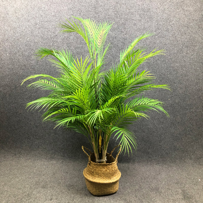 125cm 대형 인조 야자수 열대 식물 가지 플라스틱  - Dracaena Marginata 리뷰 및 가격